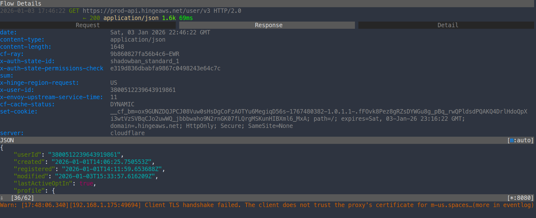 mitmproxy TUI view of response details