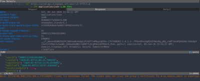 mitmproxy TUI view of response details