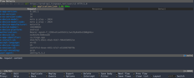 mitmproxy TUI view of request details